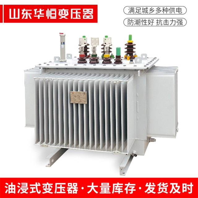 S13-10000/35七台河七台河七台河电力变压器